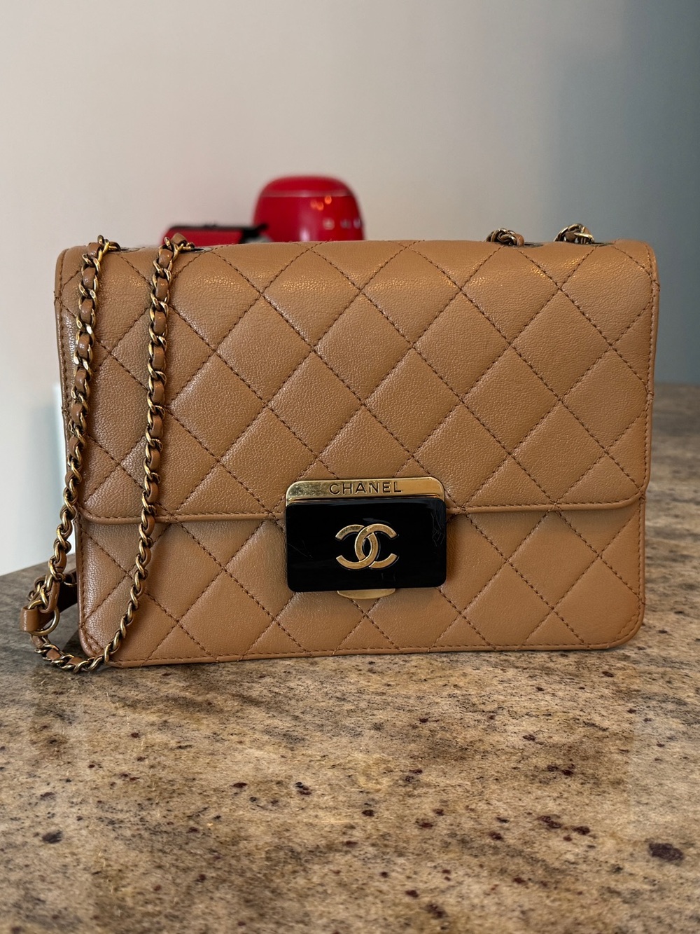 Chanel Beauty Lock Flap Bag